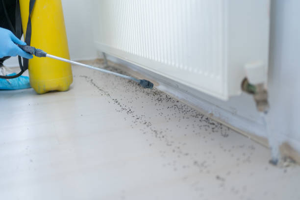 Best Residential Pest Control  in Nederland, CO