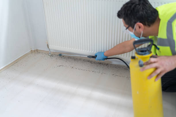 Best Pest Inspection Near Me  in Nederland, CO